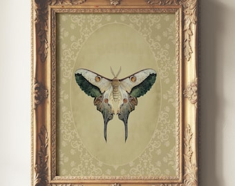 Vintage Moth Art Print, Victorian Gothic, Dark Cottagecore, Dark Academia Decor, Giclee Print, Multiple Sizes Available