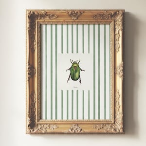 May include: A framed print featuring a green beetle illustration centered on a white background with vertical green stripes. The artwork is enclosed in an ornate, antique gold-colored frame with detailed carvings along the edges and corners.