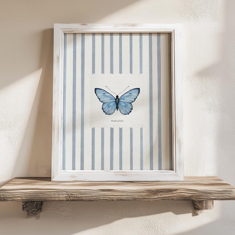 Butterfly Painting, Blue Stripe Giclee Print, Country Cottage Home Decor, Vintage Entomology Insect Art, Multiple Sizes Available
