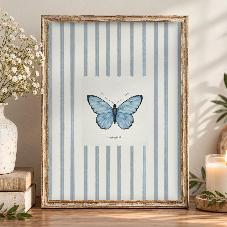 Butterfly Painting, Blue Stripe Giclee Print, Country Cottage Home Decor, Vintage Entomology Insect Art, Multiple Sizes Available