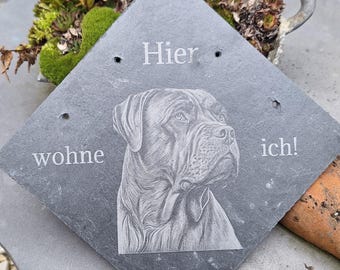 Dog sign Bordeaux Mastiff - slate, slate plaque with engraving - decoration