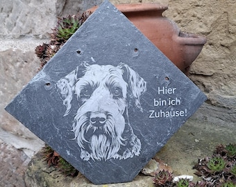 Dog sign Giant Schnauzer - Slate, slate plaque with engraving - Decoration