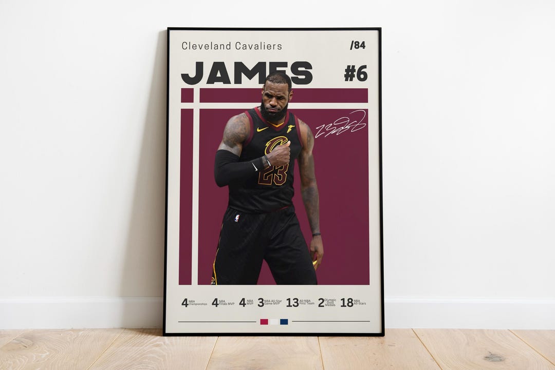 signed lebron poster