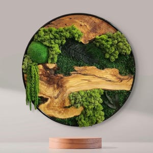 Custom Made Moss Wood Wall Art, Olive Wood and Moss Wall Art, Preserved Stabilized Moss Wall Decor, Wood & Preserved Moss, Moss Wall Decor