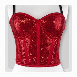 Sequin Glitter Corset, Glam Lingerie Bustier, Dazzling Corset Top, Glittery Lingerie, Special Occasion Gift, Eveningwear Gift Fashion Corset