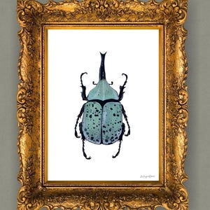 Hercules Beetle Art Print