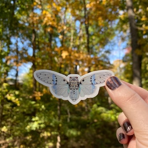 White Ghost Cicada sticker