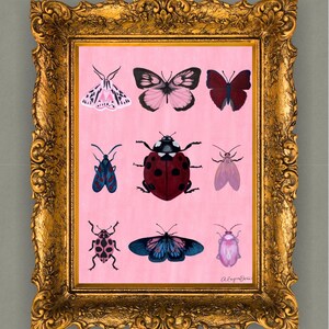 Bug Print with Pink Background
