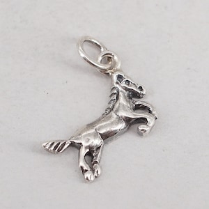 sterling silver pegasus charm