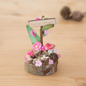 DIY Miniature Fairy Garden Kit with Toadstool