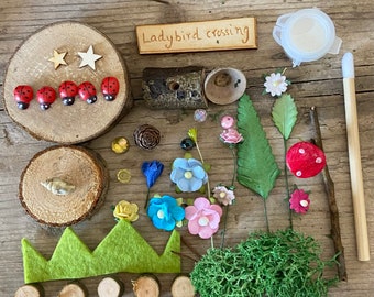 EcoTiny little DIY garden with " lady bird crossing sign " kit