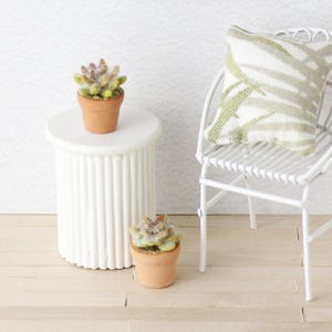 Dollhouse Miniature Cactus in Terracotta Pot Set of 2