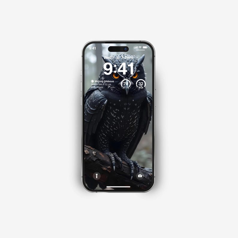 May include: A black and white owl with orange eyes is perched on a branch. The phone screen shows the time as 9:41 and the date as Wednesday, 7 September. The phone also shows the moon phase as "Waxing Gibbous" and the temperature as 70 degrees Fahrenheit.