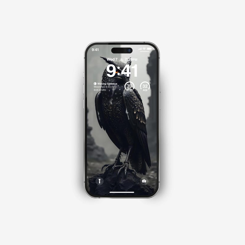 May include: A black and white phone screen displaying the time 9:41 with the date Wed 7 and the text "Waking Gibbous" and "Moonrise 6:22 pm" and "Rise 6:41 am". A black bird with orange eyes is in the background.