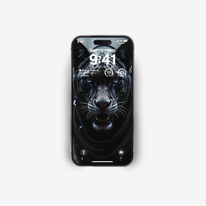 Puede incluir: Una pantalla de tel&eacute;fono en blanco y negro que muestra un primer plano de una pantera negra gru&ntilde;endo con un pecho blanco. La hora es 9:41 PM y el d&iacute;a es mi&eacute;rcoles. La pantalla del tel&eacute;fono tambi&eacute;n muestra una notificaci&oacute;n para "Walking Gibson" y dos iconos circulares con los n&uacute;meros 70 y 92.