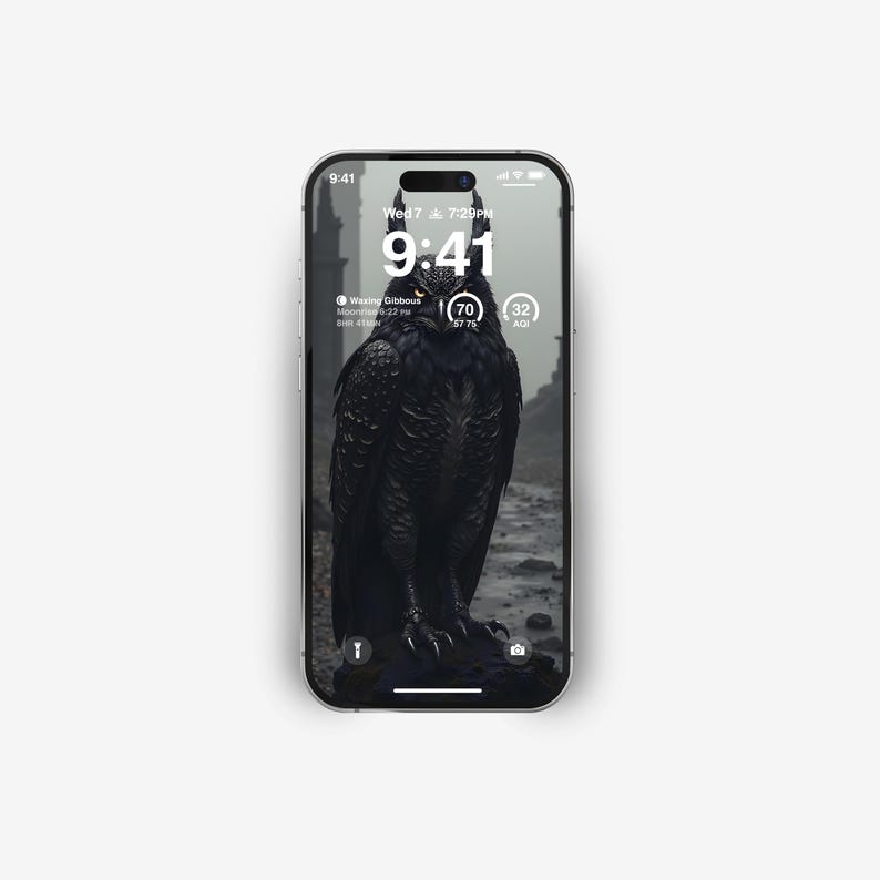 May include: A black and white image of an owl with a dark background. The image is displayed on a smartphone screen with the time 9:41 and the date Wed 7 7:29PM. The text "Waxing Gibbous" is also displayed on the screen.