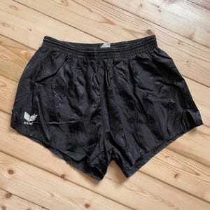 Glanz Nylon Shorts - Etsy