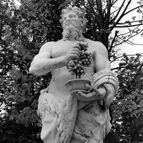 Versailles Gardens Statue of Bacchus: Black and White Photo 