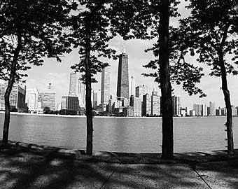 Chicago Skyline from Olive Park (Summer): Black and White Photo