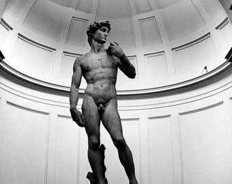 Statue of David in Florence: Black and White Photo