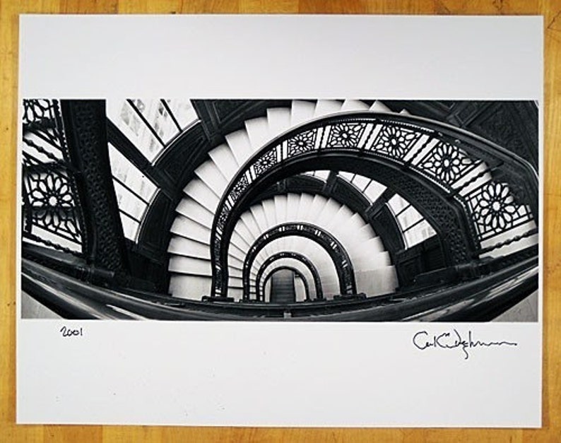 Rookery building essay 07 image