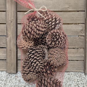 May include: A collection of brown pine cones are contained in a red mesh bag tied with twine. The pine cones are various sizes and shapes, with a textured surface. The bag is hanging against a wooden fence.