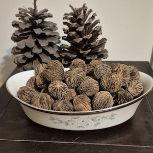 May include: A white ceramic bowl filled with a large quantity of brown, textured, walnut-like shells. The bowl has a floral design and is sitting on a dark brown wooden surface. Two pine cones are in the background.