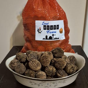 May include: A large orange mesh bag filled with black walnut shells. The bag has a white label with the text "Loud House Farms Est. 2004". The walnuts are in a white bowl with a floral design.