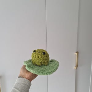 Sapo sentado em Lilypad