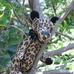A Walk on the Wild Side