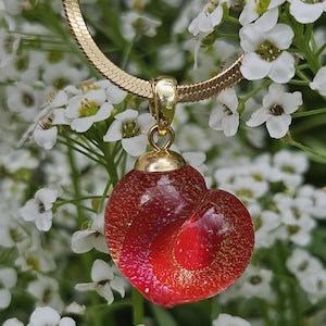 Bright Red Heart Pendant Necklace: Handmade Lampwork Glass pendant, Gold-Plated Jewellery with Fumed Gold Shimmer, Special Jewellery Gift.