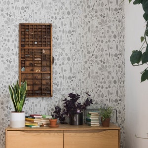 CAMPIONE Carta da parati Tiny Treasures in 'dove' di Hannah Nunn, un rivestimento murale botanico per collezionisti di semi, baccelli e tesori della natura