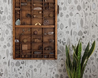 Tiny Treasures wallpaper in 'dove' by Hannah Nunn, a botanical wall covering for collectors of seeds, pods and nature's treasures