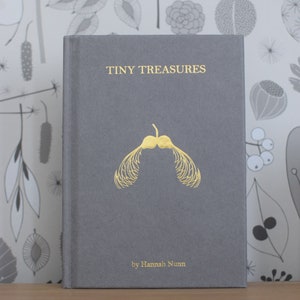 Tiny Treasures libro de Hannah Nunn, una guía de identificación de las semillas y vainas en su pequeño fondo de pantalla de tesoros o en el bosque imagen 3