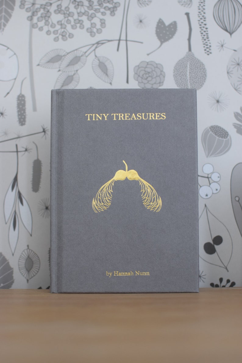 Tiny Treasures libro de Hannah Nunn, una guía de identificación de las semillas y vainas en su pequeño fondo de pantalla de tesoros o en el bosque imagen 3