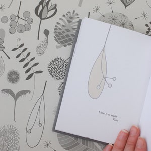 Tiny Treasures libro de Hannah Nunn, una guía de identificación de las semillas y vainas en su pequeño fondo de pantalla de tesoros o en el bosque imagen 5