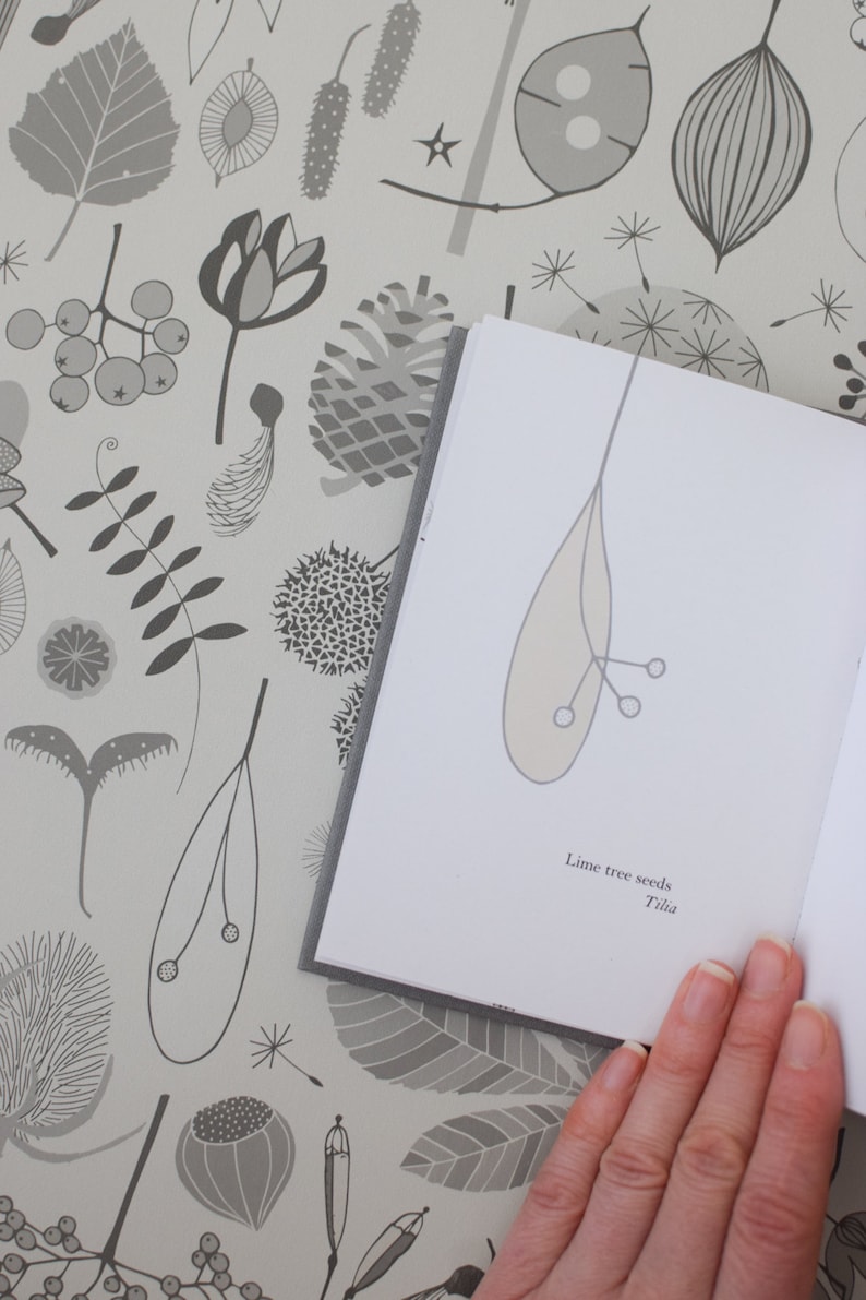 Tiny Treasures book by Hannah Nunn, an identification guide to the seeds and pods on your tiny treasures wallpaper or out in the woods image 5