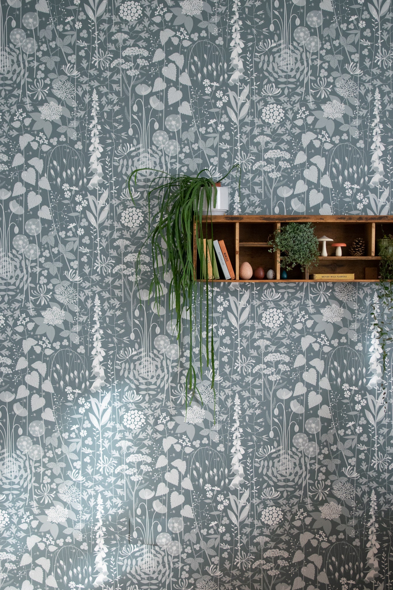 Hedgerow wallpaper in 'furling' by Hannah Nunn, a  blue/green botanical wall covering with a wild tangle of plants and flowers
