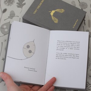 Tiny Treasures libro de Hannah Nunn, una guía de identificación de las semillas y vainas en su pequeño fondo de pantalla de tesoros o en el bosque imagen 2