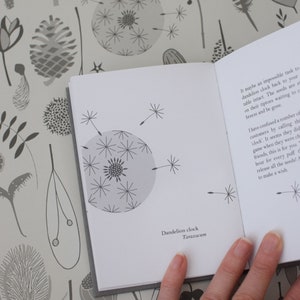 Tiny Treasures libro de Hannah Nunn, una guía de identificación de las semillas y vainas en su pequeño fondo de pantalla de tesoros o en el bosque imagen 4