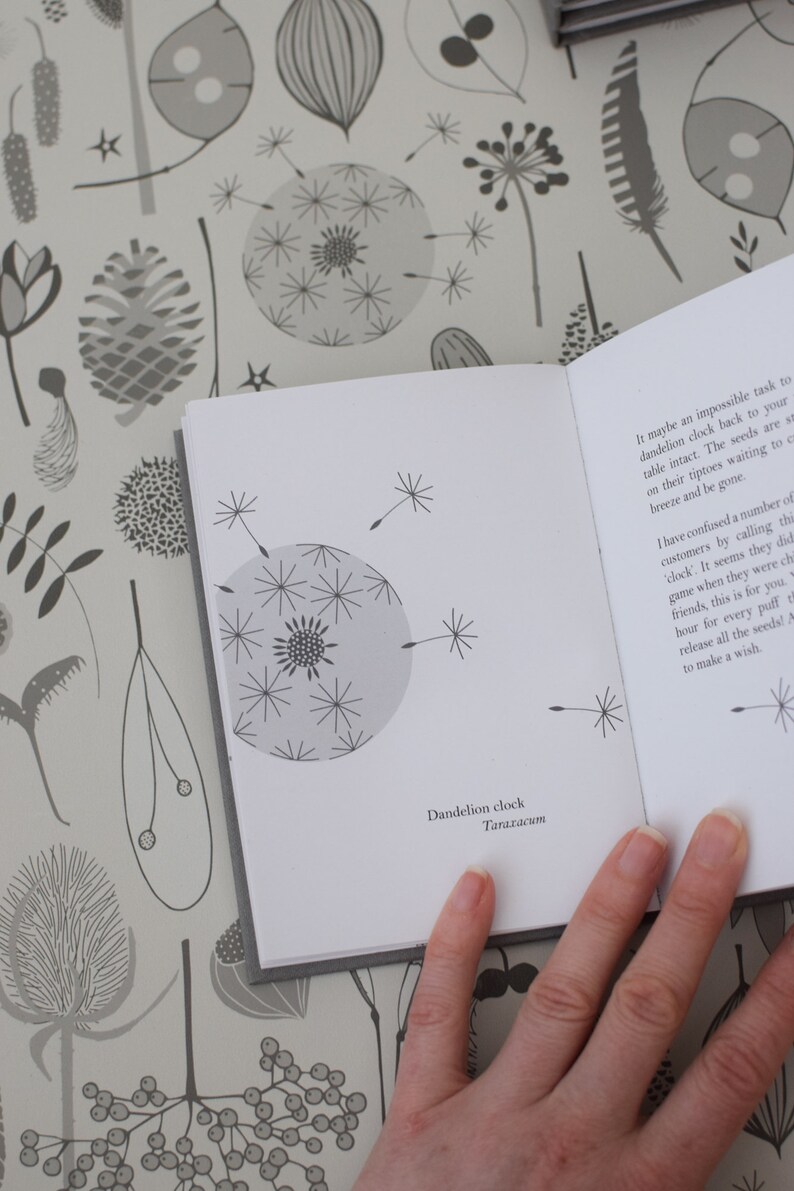 Tiny Treasures libro de Hannah Nunn, una guía de identificación de las semillas y vainas en su pequeño fondo de pantalla de tesoros o en el bosque imagen 4