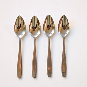 Florida Grapefruit Spoons - Set of 4 - Stainless Steel Flatware - Japan