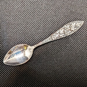 Op de afbeelding: Een zilveren lepel met een bladeren ontwerp op het handvat. De lepel heeft een afgeronde kom en een gedetailleerd bloemmotief op het handvat. De lepel staat tegen een zwarte achtergrond.