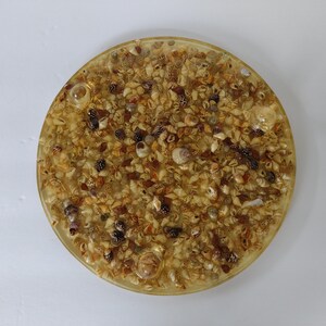 Puede incluir: Un posavasos redondo de resina transparente con una variedad de pequeñas conchas incrustadas en su interior. Las conchas son una mezcla de colores marrón, blanco y beige.