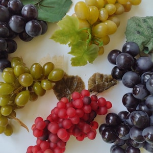 Five Colorful Bunches of Grapes - Artificial Rubber - set of 5