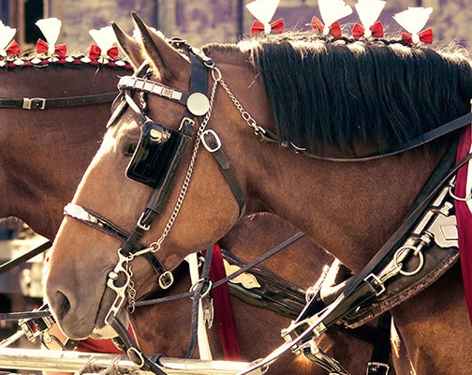 This item is unavailable Etsy