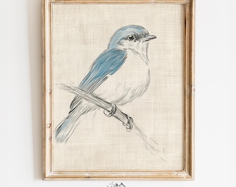 Printable Bluebird Art Sketch - Rustic Nature Decor, Vintage Bird Wall Art, Earthy Pencil Drawing, Cottagecore Bird Illustration 1175