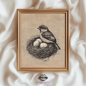 Sparrow Pencil Drawing Printable - Vintage-Inspired Bird Wall Art, Neutral Farmhouse Nature Decor, Rustic Nest Artwork, Digital Download 977