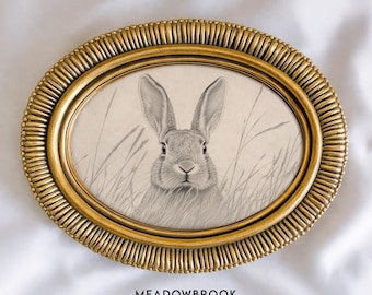 Nieuwsgierig konijn in hoog gras - vintage Cottagecore-kunst, zwart-wit wilde konijn-potloodtekening, gezellige afdrukbare dierenmuurkunst download 1341