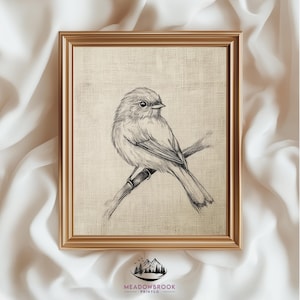 Sparrow Pencil Drawing Printable - Rustic Bird Sketch Wall Art, Neutral Earthy Decor, Vintage Farmhouse Nature Print, Digital Download 969